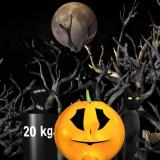 Halloween Pumpkin Weighin;